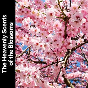 The Heavenly Scents of the Blossoms - Weather Sounds