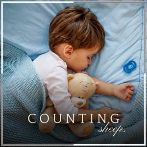 Counting Sheep - Relaxation And Meditation