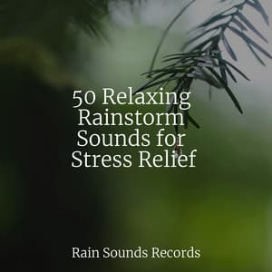 50 Relaxing Rainstorm Sounds for Stress Relief - Cascada de Lluvia