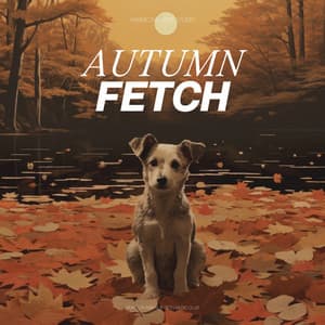 Autumn Fetch - Reiki for Animals