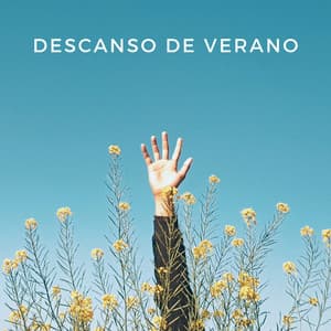 Descanso De Verano - Cafetería Lofi
