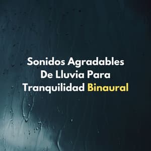 Sonidos Agradables De Lluvia Para Tranquilidad Binaural - Realidad Binaural