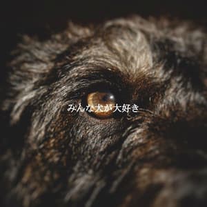 みんな犬が大好き - Chill Out Jazz Radio