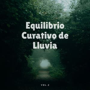 Equilibrio Curativo De Lluvia, Vol. 2 - Sonidos De Lluvia y Tormentas