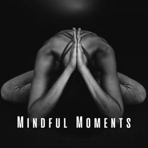 Mindful Moments: Yoga Journey with Ambient Music - Ambient Solle