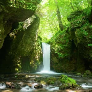 Dreaming by the Stream: Melodic Nighttime Voices - Dreaming Your Dreams