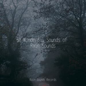 50 Wonderful Sounds of Rain Sounds - Relaxing Spa Music