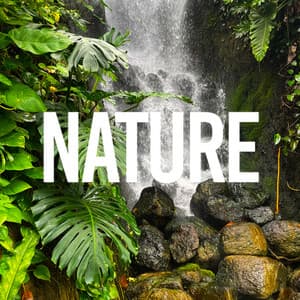Nature - ASMR Earth