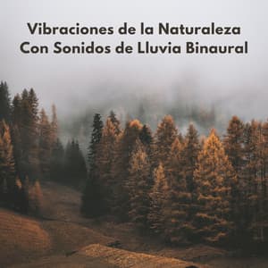 Vibraciones De La Naturaleza Con Sonidos De Lluvia Binaural - Explorador binaural