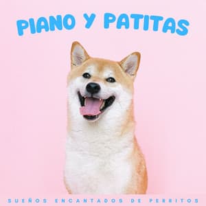 Piano Y Patitas: Sueños Encantados De Perritos - Piano Suave Relajante