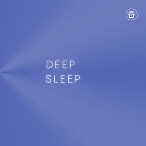 Deep Sleep - Rain Recorders