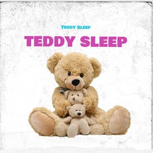 Teddy Sleep - Teddy Sleep