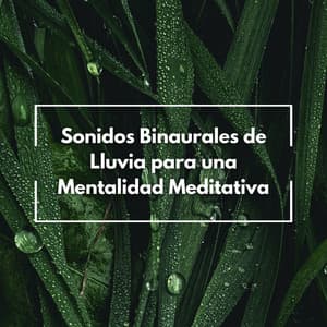 Sonidos Binaurales De Lluvia Para Una Mentalidad Meditativa - Ritmos Binaurales MT