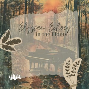 Elysian Echoes in the Elders - Piano Music Spa
