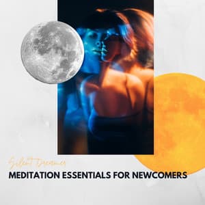 Meditation Essentials for Newcomers - Silent Dreamer