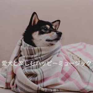 愛犬と楽しむハッピーミュージック - Light Dinner Music