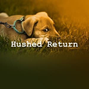 Hushed Return - Puppy Sleep