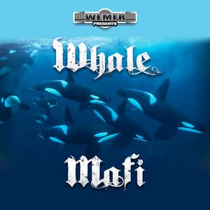 Whale Mafi - Rich The Factor