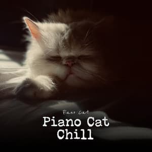 Piano Cat Chill - Piano Cat