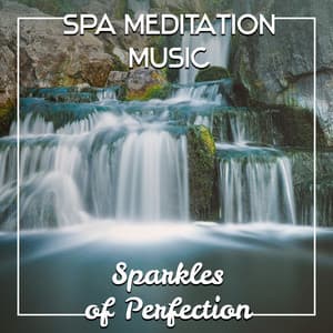 Spa Meditation Music: Sparkles of Perfection - Meditation Spa Music Ensemble