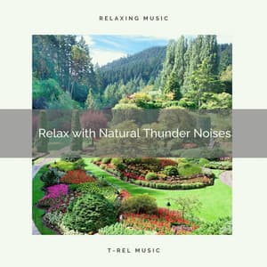 Relax with Natural Thunder Noises - Baby Sleep Rain Sound