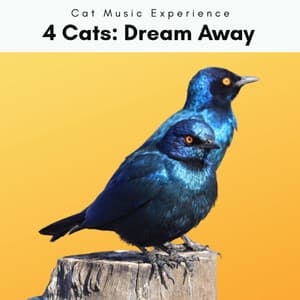 4 Cats: Dream Away - Cat Music Experience