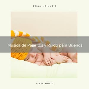 Música de Pajaritos y Ruido para Buenos - Ruido Blanco