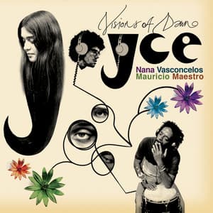 Visions of Dawn - Joyce Moreno
