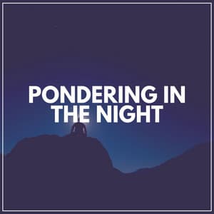 Pondering in the Night - Zarobi
