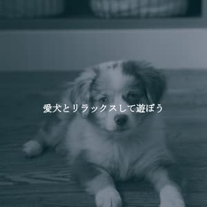 愛犬とリラックスして遊ぼう - Coffee House Chill Out Relax