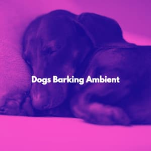 Dogs Barking Ambient - Popular Jazz Cafe Bar