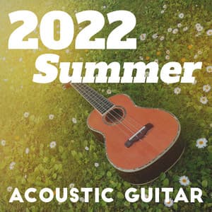 2022 Summer Acoustic Guitar - Acoustic Instrumental Collection