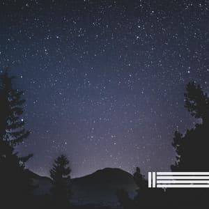 Calming Sounds Of Night Crickets - Night Sounds