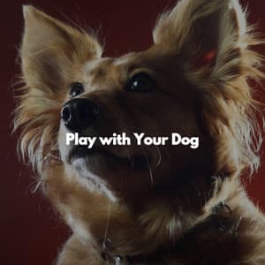 Play with Your Dog - Israel Goldberg Quintet
