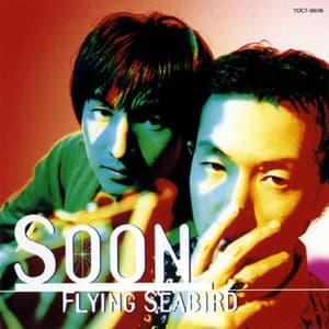 Flying Seabird - Soon