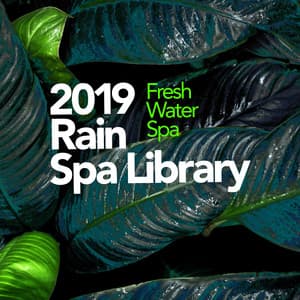 2019 Rain Spa Library - Fresh Water Spa