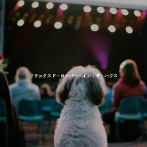 リラックスド・ローバー・イン・ザ・ハウス - Upbeat Morning Music