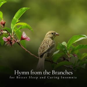* Hymn from the Branches for Better Sleep and Curing Insomnia * - Calm Singing Birds Zone