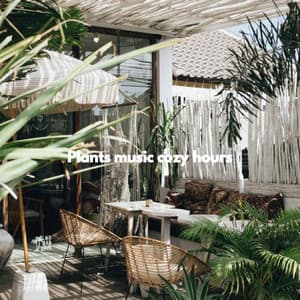 Plants music cozy hours - Cafe de Musica Instrumental