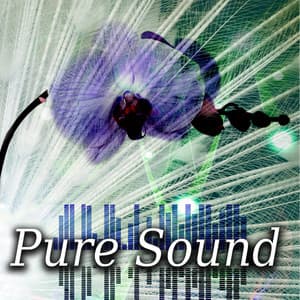 Pure Sound - Gentle Instrumental Music and Pure Nature Sounds for Relaxation, Sound Therapy, Healing Massage, Wellness Spa - Gentle Instrumental Music Paradise