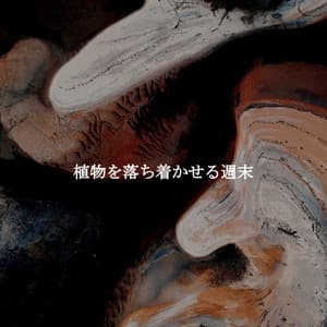 植物を落ち着かせる週末 - Early Morning Chill Out Playlist