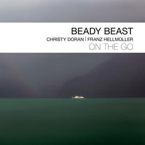 Beady Beast - Christy Doran