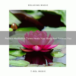 Perfect Meditation Tunes Heals Your Body And Relaxes You - Timeless Relax