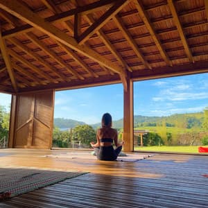 Reflective Rhythms: Music for Calm Meditation - Rainforest Meditations