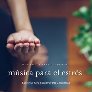 Música para el Estrés: Canciones para Encontrar Paz y Serenidad, Meditación para la Ansiedad - Sleepers J&J