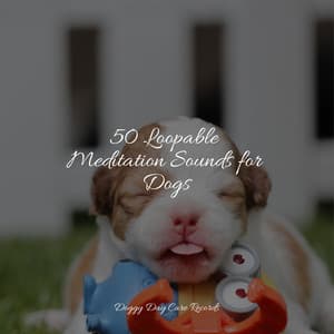 50 Loopable Meditation Sounds for Dogs - Music for Pets Library