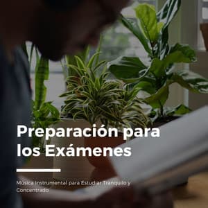 Preparación para los Exámenes: Música Instrumental para Estudiar Tranquilo y Concentrado - Concentracion Examenes