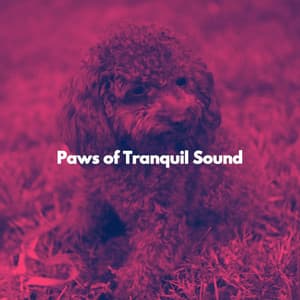 Paws of Tranquil Sound - Dinner Music Chillout