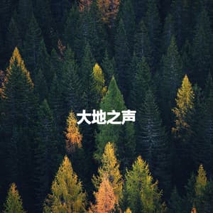 大地之声 - Sensual Jazz Trio