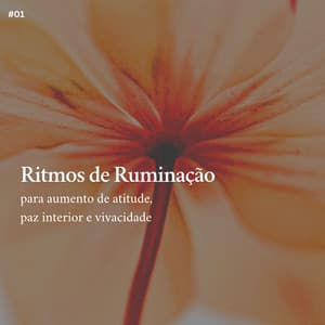 * Ritmos de Ruminação para aumento de atitude, paz interior e vivacidade * - Calma
